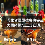 河北省质量信息协会三大团体标准正式立项,涉及起重机械接地规范等关键领域(图3) 河北省质量信息协会三大团体标准正式立项,涉及起重机械接地规范等关键领域(图3)