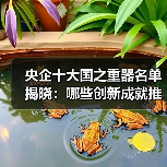 央企十大国之重器名单揭晓:哪些创新成就推动中国科技突破?(图3) 央企十大国之重器名单揭晓:哪些创新成就推动中国科技突破?(图3)