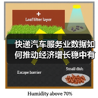 快递汽车服务业数据如何推动经济增长稳中有序？（图4）