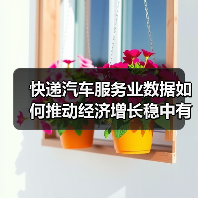 快递汽车服务业数据如何推动经济增长稳中有序？（图2）