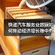 快递汽车服务业数据如何推动经济增长稳中有序？（图1）