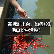 新标准出台，如何控制港口粉尘污染？（图2）