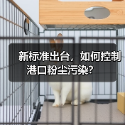 新标准出台，如何控制港口粉尘污染？（图3）