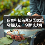 数智科技首秀获国家级高新认定，创新实力引领智造升级（图1）