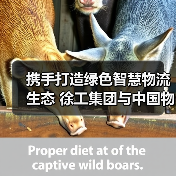携手打造绿色智慧物流生态 徐工集团与中国物流战略合作(图1) 携手打造绿色智慧物流生态 徐工集团与中国物流战略合作(图1)