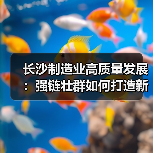 长沙制造业高质量发展：强链壮群如何打造新高地（图1）