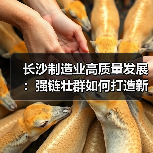 长沙制造业高质量发展：强链壮群如何打造新高地（图4）