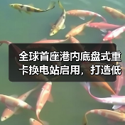 全球首座港内底盘式重卡换电站启用，打造低碳物流新标杆（图1）