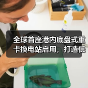 全球首座港内底盘式重卡换电站启用，打造低碳物流新标杆（图2）
