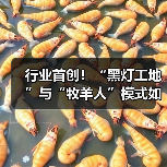 行业首创!“黑灯工地”与“牧羊人”模式如何重塑工程机械效率?(图1) 行业首创!“黑灯工地”与“牧羊人”模式如何重塑工程机械效率?(图1)