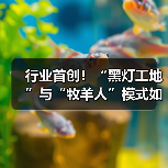 行业首创!“黑灯工地”与“牧羊人”模式如何重塑工程机械效率?(图3) 行业首创!“黑灯工地”与“牧羊人”模式如何重塑工程机械效率?(图3)
