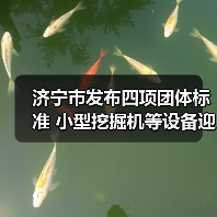 济宁市发布四项团体标准 小型挖掘机等设备迎新规(图3) 济宁市发布四项团体标准 小型挖掘机等设备迎新规(图3)
