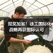 双奖加冕!徐工国际化战略再获国际认可(图1) 双奖加冕!徐工国际化战略再获国际认可(图1)