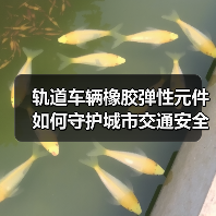 轨道车辆橡胶弹性元件如何守护城市交通安全?(图3) 轨道车辆橡胶弹性元件如何守护城市交通安全?(图3)