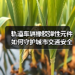 轨道车辆橡胶弹性元件如何守护城市交通安全?(图4) 轨道车辆橡胶弹性元件如何守护城市交通安全?(图4)