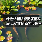 绿色转型赋能高质量发展 西矿集团新路径探索(图3) 绿色转型赋能高质量发展 西矿集团新路径探索(图3)