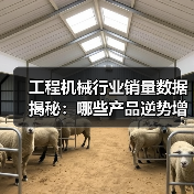 工程机械行业销量数据揭秘:哪些产品逆势增长?(图2) 工程机械行业销量数据揭秘:哪些产品逆势增长?(图2)