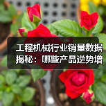 工程机械行业销量数据揭秘:哪些产品逆势增长?(图1) 工程机械行业销量数据揭秘:哪些产品逆势增长?(图1)