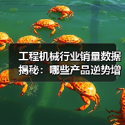 工程机械行业销量数据揭秘:哪些产品逆势增长?(图3) 工程机械行业销量数据揭秘:哪些产品逆势增长?(图3)