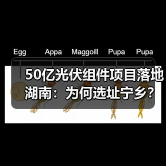 50亿光伏组件项目落地湖南:为何选址宁乡?(图4) 50亿光伏组件项目落地湖南:为何选址宁乡?(图4)