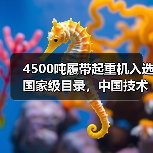 4500吨履带起重机入选国家级目录,中国技术再登巅峰(图2) 4500吨履带起重机入选国家级目录,中国技术再登巅峰(图2)