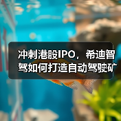 冲刺港股IPO,希迪智驾如何打造自动驾驶矿卡龙头?(图3) 冲刺港股IPO,希迪智驾如何打造自动驾驶矿卡龙头?(图3)