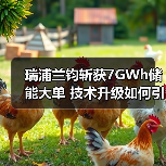 瑞浦兰钧斩获7GWh储能大单 技术升级如何引领全球市场?(图1) 瑞浦兰钧斩获7GWh储能大单 技术升级如何引领全球市场?(图1)