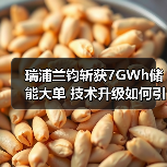 瑞浦兰钧斩获7GWh储能大单 技术升级如何引领全球市场?(图2) 瑞浦兰钧斩获7GWh储能大单 技术升级如何引领全球市场?(图2)