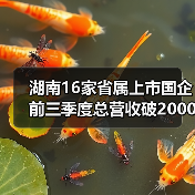 湖南16家省属上市国企前三季度总营收破2000亿,转型升级显成效(图3) 湖南16家省属上市国企前三季度总营收破2000亿,转型升级显成效(图3)