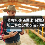 湖南16家省属上市国企前三季度总营收破2000亿,转型升级显成效(图4) 湖南16家省属上市国企前三季度总营收破2000亿,转型升级显成效(图4)