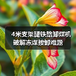 4米支架腿铁路卸煤机破解冻煤接卸难题(图2) 4米支架腿铁路卸煤机破解冻煤接卸难题(图2)