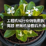 工程机械行业销售数据亮眼 挖掘机装载机齐涨(图2) 工程机械行业销售数据亮眼 挖掘机装载机齐涨(图2)