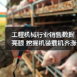 工程机械行业销售数据亮眼 挖掘机装载机齐涨(图4) 工程机械行业销售数据亮眼 挖掘机装载机齐涨(图4)