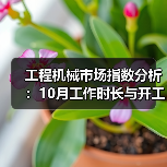 工程机械市场指数分析:10月工作时长与开工率数据揭秘(图3) 工程机械市场指数分析:10月工作时长与开工率数据揭秘(图3)