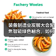 装备制造业发展大会聚焦智能绿色融合,如何引领行业转型升级?(图2) 装备制造业发展大会聚焦智能绿色融合,如何引领行业转型升级?(图2)