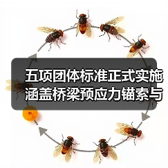 五项团体标准正式实施 涵盖桥梁预应力锚索与公路工程应用技术(图3) 五项团体标准正式实施 涵盖桥梁预应力锚索与公路工程应用技术(图3)