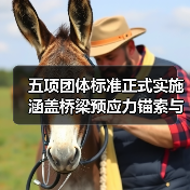 五项团体标准正式实施 涵盖桥梁预应力锚索与公路工程应用技术(图4) 五项团体标准正式实施 涵盖桥梁预应力锚索与公路工程应用技术(图4)