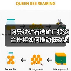 阿曼铁矿石选矿厂投资合作将如何推动低碳钢生产(图1) 阿曼铁矿石选矿厂投资合作将如何推动低碳钢生产(图1)