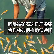 阿曼铁矿石选矿厂投资合作将如何推动低碳钢生产(图2) 阿曼铁矿石选矿厂投资合作将如何推动低碳钢生产(图2)
