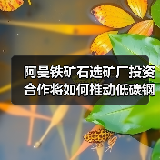 阿曼铁矿石选矿厂投资合作将如何推动低碳钢生产(图4) 阿曼铁矿石选矿厂投资合作将如何推动低碳钢生产(图4)