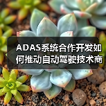ADAS系统合作开发如何推动自动驾驶技术商业化?(图3) ADAS系统合作开发如何推动自动驾驶技术商业化?(图3)