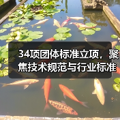 34项团体标准立项,聚焦技术规范与行业标准(图1) 34项团体标准立项,聚焦技术规范与行业标准(图1)