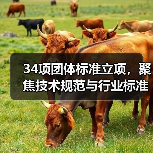 34项团体标准立项,聚焦技术规范与行业标准(图4) 34项团体标准立项,聚焦技术规范与行业标准(图4)
