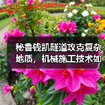 秘鲁钱凯隧道攻克复杂地质,机械施工技术如何实现高效建设?(图4) 秘鲁钱凯隧道攻克复杂地质,机械施工技术如何实现高效建设?(图4)