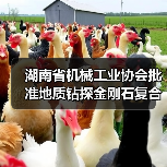 湖南省机械工业协会批准地质钻探金刚石复合片钻头标准立项(图1) 湖南省机械工业协会批准地质钻探金刚石复合片钻头标准立项(图1)