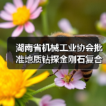 湖南省机械工业协会批准地质钻探金刚石复合片钻头标准立项(图4) 湖南省机械工业协会批准地质钻探金刚石复合片钻头标准立项(图4)