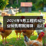 2024年9月工程机械行业销售数据揭晓:出口回暖与国内市场分化(图2) 2024年9月工程机械行业销售数据揭晓:出口回暖与国内市场分化(图2)