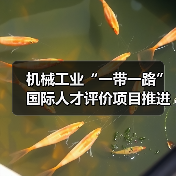 机械工业“一带一路”国际人才评价项目推进会聚焦技能出海(图2) 机械工业“一带一路”国际人才评价项目推进会聚焦技能出海(图2)