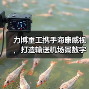 力博重工携手海康威视，打造输送机场景数字化新标杆（图4）