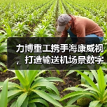 力博重工携手海康威视，打造输送机场景数字化新标杆（图3）